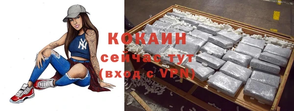 молекула духа Белокуриха