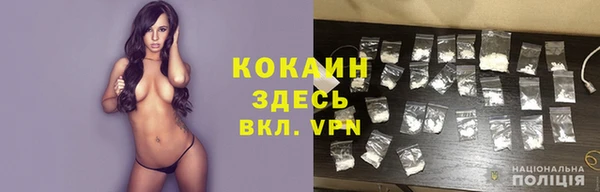 молекула духа Белокуриха