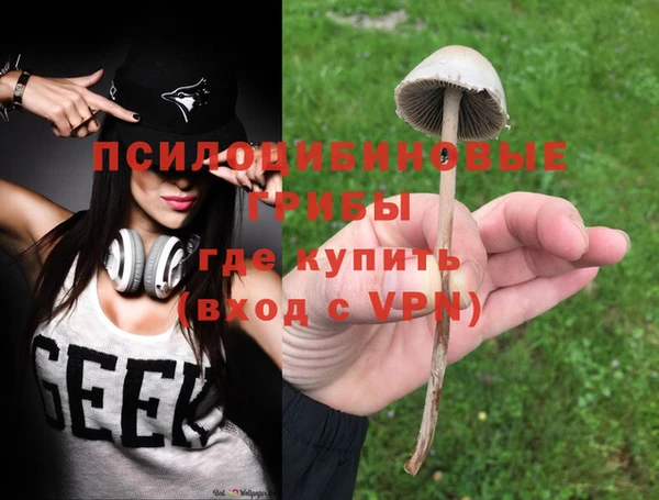 ешки Богородск