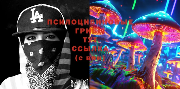 шишки Богданович