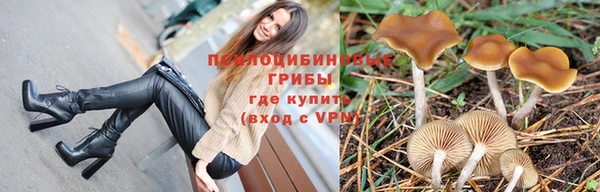 спайс Богородицк