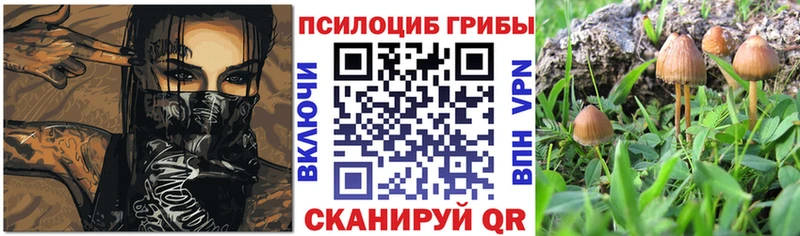 Псилоцибиновые грибы GOLDEN TEACHER  Озёрск 